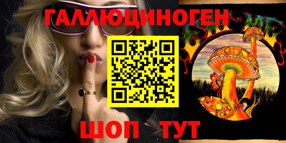 Псилоцибиновые грибы Cubensis Камышлов