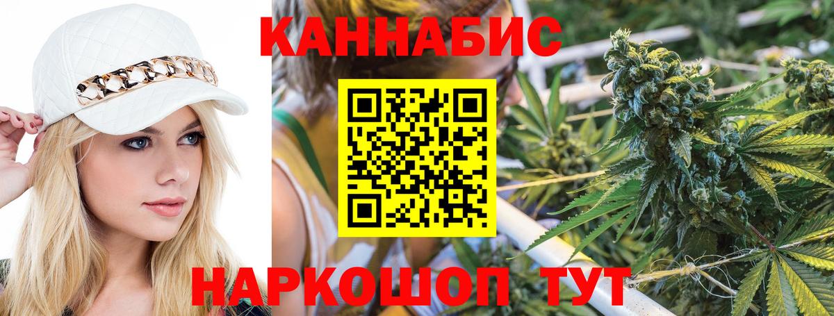 Канабис планчик  Конопля Amnesia  Конопля ГИДРОПОН  Камышлов  Вход с VPN 